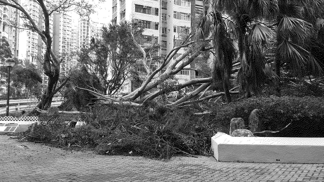 After Mangkhut